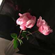 ヒメ日記 2026/02/08 21:27 投稿 すず【ディプロマS保持者】 ごほうびSPA福岡店