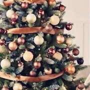 ヒメ日記 2024/12/14 13:20 投稿 あおい ありのままの所沢妻