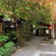 ヒメ日記 2025/05/10 12:21 投稿 あおい ありのままの所沢妻