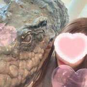 ヒメ日記 2025/08/15 11:58 投稿 すず【Sディプロマ取得済】 すごいエステ福岡店