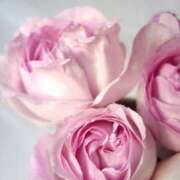 ヒメ日記 2025/08/15 19:38 投稿 すず【Sディプロマ取得済】 すごいエステ福岡店