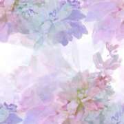 ヒメ日記 2026/02/13 22:18 投稿 すず【Sディプロマ取得済】 すごいエステ福岡店