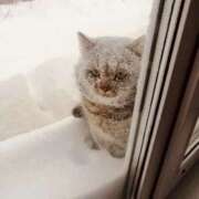 ヒメ日記 2025/02/05 15:39 投稿 さや みこすり半道場 大阪店