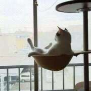 ヒメ日記 2025/05/18 20:20 投稿 さや みこすり半道場 大阪店