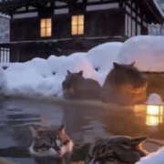 さや 本日も受付中です みこすり半道場 大阪店