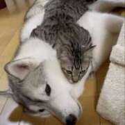 さや 本日、受付中です みこすり半道場 大阪店