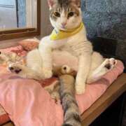 ヒメ日記 2025/12/15 12:10 投稿 さや みこすり半道場 大阪店