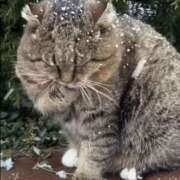 さや 12/24、25←今年で終了するお得な日…4545、1919、 みこすり半道場 大阪店