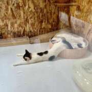 ヒメ日記 2026/03/08 16:02 投稿 さや みこすり半道場 大阪店