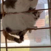 ヒメ日記 2026/04/14 14:29 投稿 さや みこすり半道場 大阪店