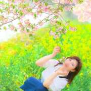 ヒメ日記 2025/02/17 12:12 投稿 ハルナ ヴィーナス(金津園)