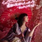 ヒメ日記 2025/02/24 00:42 投稿 ハルナ ヴィーナス(金津園)