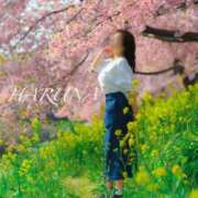 ヒメ日記 2025/02/24 22:49 投稿 ハルナ ヴィーナス(金津園)