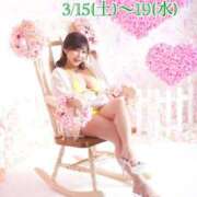 ヒメ日記 2025/03/12 19:48 投稿 ハルナ ヴィーナス(金津園)