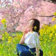 ヒメ日記 2025/03/21 23:18 投稿 ハルナ ヴィーナス(金津園)