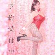 ヒメ日記 2025/04/26 12:12 投稿 ハルナ ヴィーナス(金津園)