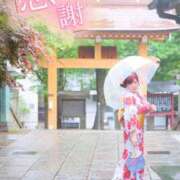 ヒメ日記 2025/06/17 00:21 投稿 ハルナ ヴィーナス(金津園)