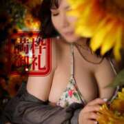 ヒメ日記 2025/07/21 00:33 投稿 ハルナ ヴィーナス(金津園)