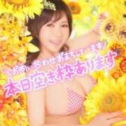 ヒメ日記 2025/08/16 13:15 投稿 ハルナ ヴィーナス(金津園)