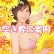 ヒメ日記 2025/08/24 19:03 投稿 ハルナ ヴィーナス(金津園)