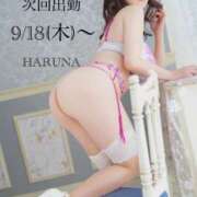 ヒメ日記 2025/09/16 22:33 投稿 ハルナ ヴィーナス(金津園)