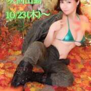 ヒメ日記 2025/10/19 12:48 投稿 ハルナ ヴィーナス(金津園)