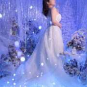 ヒメ日記 2025/10/29 23:33 投稿 ハルナ ヴィーナス(金津園)