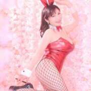 ヒメ日記 2025/11/02 19:49 投稿 ハルナ ヴィーナス(金津園)