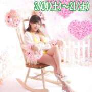 ハルナ 3/4(木)完売🈵 ヴィーナス(金津園)