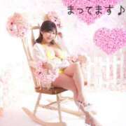 ヒメ日記 2026/03/17 10:51 投稿 ハルナ ヴィーナス(金津園)