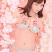 ヒメ日記 2026/04/06 19:12 投稿 ハルナ ヴィーナス(金津園)