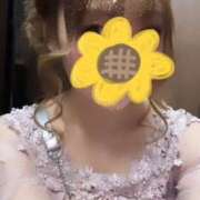 ヒメ日記 2025/09/19 00:01 投稿 さくら（VIP対応） セクシーパラダイス3