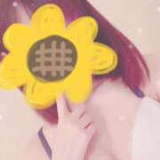 ヒメ日記 2026/02/13 15:20 投稿 さくら（VIP対応） セクシーパラダイス3