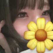 ヒメ日記 2026/03/20 20:20 投稿 さくら（VIP対応） セクシーパラダイス3