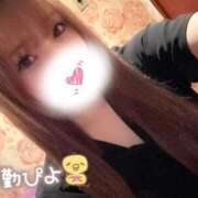 ヒメ日記 2026/10/13 00:24 投稿 さくら（VIP対応） セクシーパラダイス3