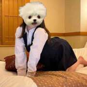 ヒメ日記 2025/05/14 18:50 投稿 なつ イキなり生彼女from大宮