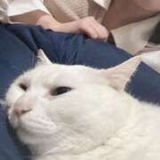 ヒメ日記 2025/07/18 23:54 投稿 なつ イキなり生彼女from大宮