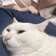 ヒメ日記 2025/09/06 08:20 投稿 なつ イキなり生彼女from大宮