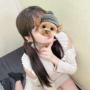 ヒメ日記 2025/06/10 14:59 投稿 しずく デザインプリズム新宿