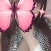 ヒメ日記 2025/08/16 11:21 投稿 ねね 若葉