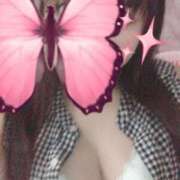 ヒメ日記 2025/09/03 13:45 投稿 ねね 若葉