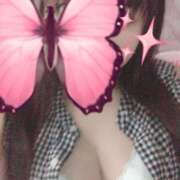 ヒメ日記 2025/09/25 14:28 投稿 ねね 若葉