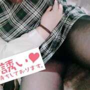 ヒメ日記 2025/09/11 09:57 投稿 陽菜(ひな)奥様 新潟人妻デリバリーヘルス下心