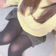 ヒメ日記 2026/03/17 10:10 投稿 陽菜(ひな)奥様 新潟人妻デリバリーヘルス下心