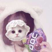 ヒメ日記 2025/01/24 16:25 投稿 まな ミルキーラテ