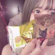 ヒメ日記 2025/02/03 16:25 投稿 まな ミルキーラテ