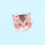 ヒメ日記 2026/01/22 17:25 投稿 まな ミルキーラテ