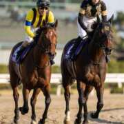 ヒメ日記 2026/01/04 10:50 投稿 Ryou ワンカラット～人妻の輝き～