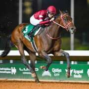 ヒメ日記 2026/02/15 16:02 投稿 Ryou ワンカラット～人妻の輝き～