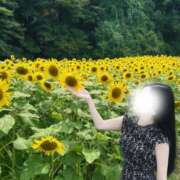 Ryou 自己紹介?????【定期】 ワンカラット～人妻の輝き～